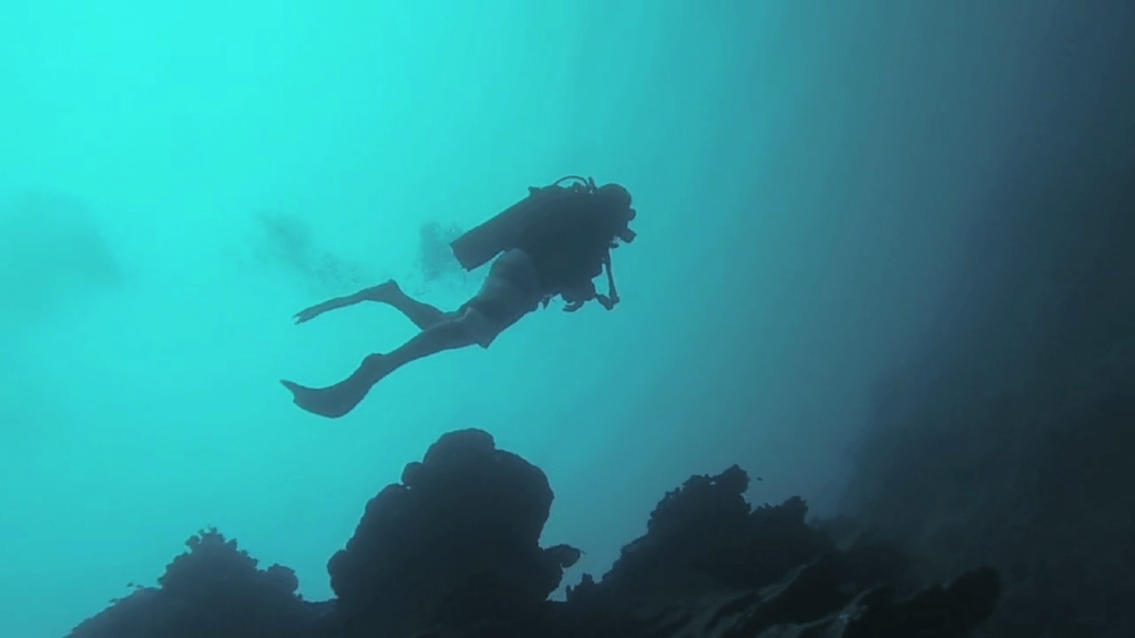 vlcsnap-2015-09-01-23h43m34s554