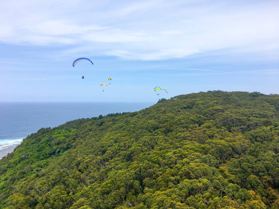 15123118_1135511696538981_7909776783692830862_o